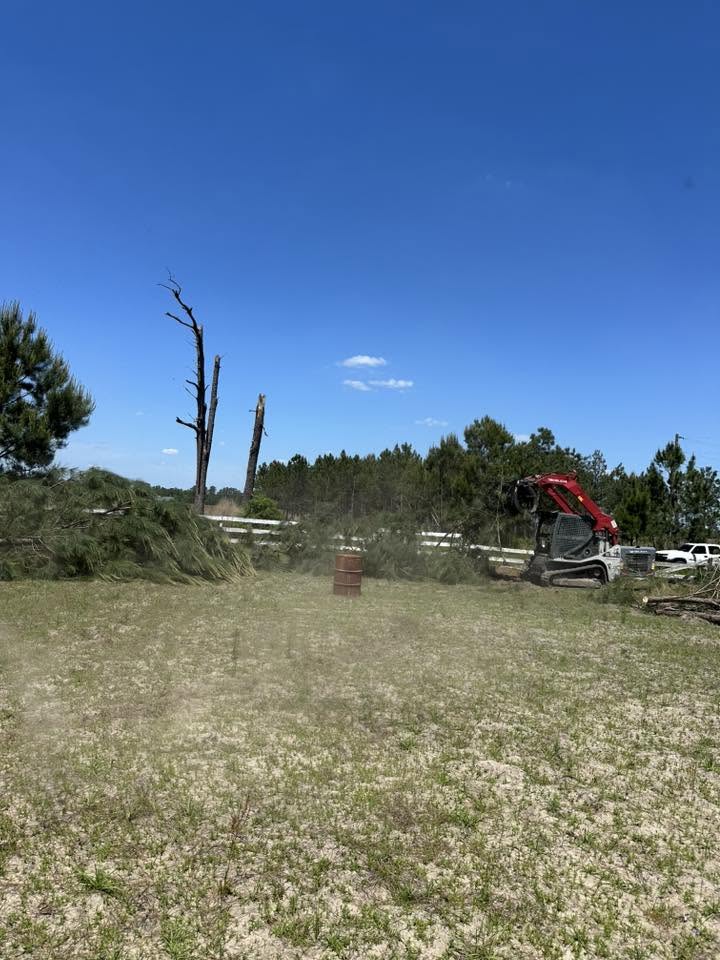Track machine clearing a treeline along a pasture