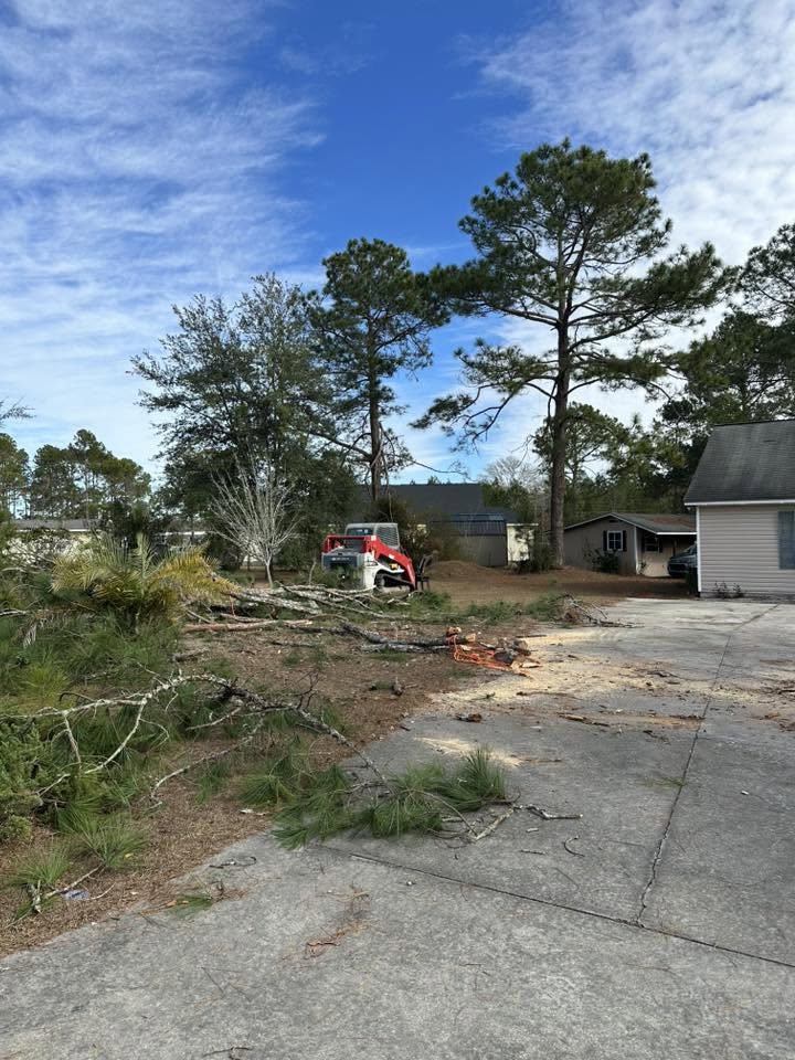 Track loader clearing limbs beside a driveway