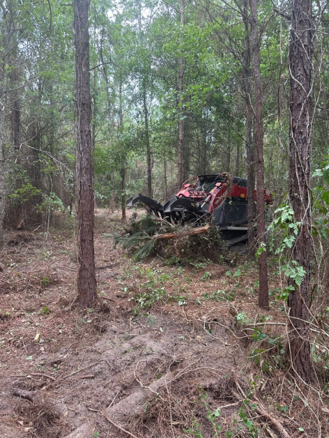 Land & Lot Clearing